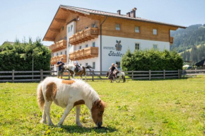 Отель Aparthotel Stadler  Флахау